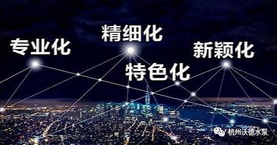 備受關(guān)注的2021年度浙江省“專精特新”中小企業(yè)名單出爐，杭州沃德水泵制造有限公司成功入選！